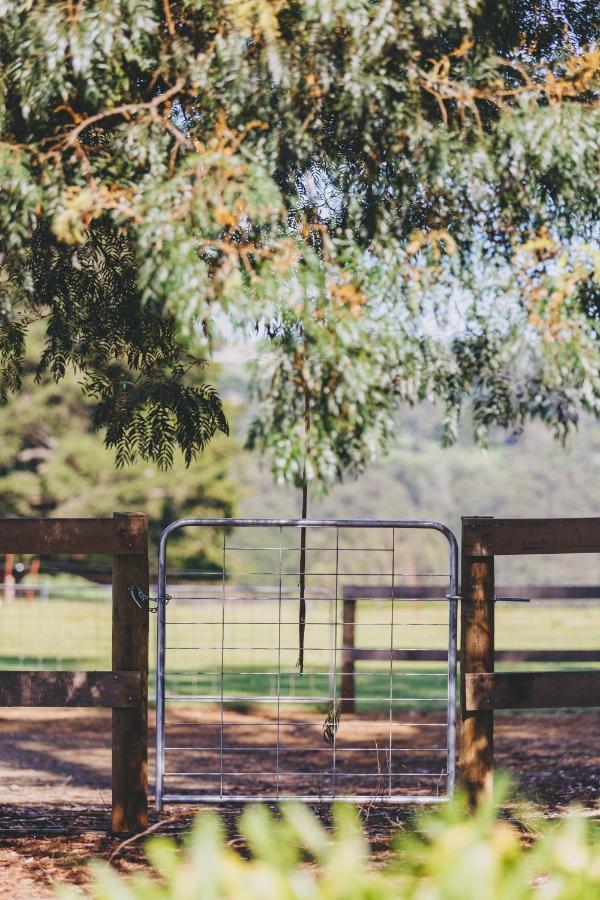 Dalblair Bed & Breakfast Seville エクステリア 写真