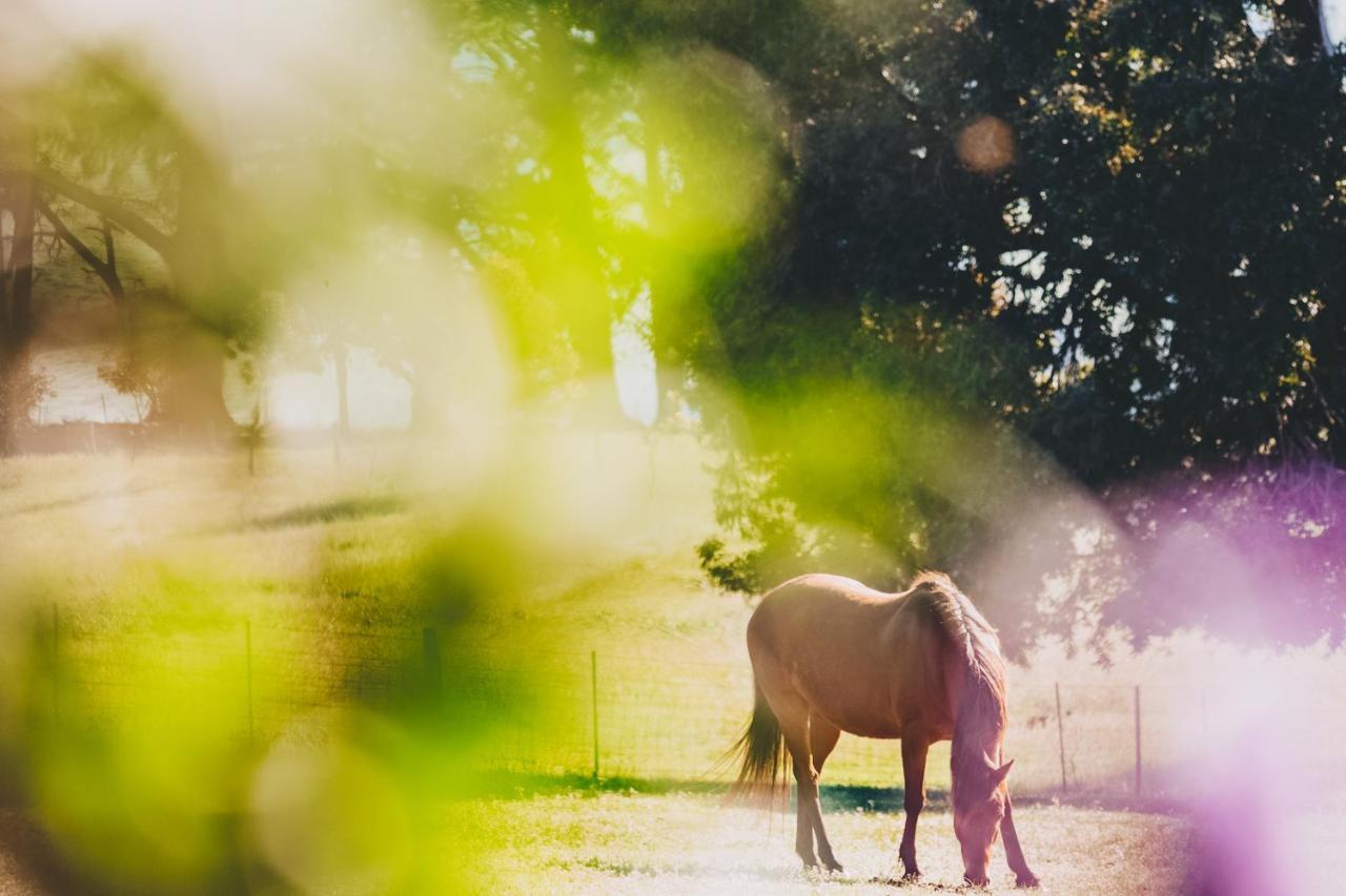 Dalblair Bed & Breakfast Seville エクステリア 写真