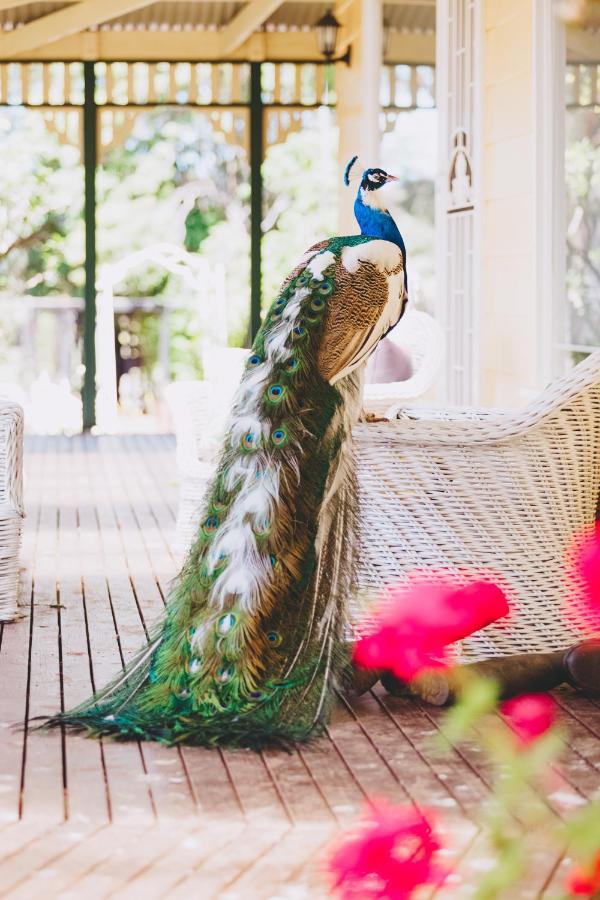 Dalblair Bed & Breakfast Seville エクステリア 写真
