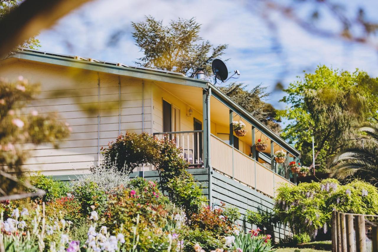 Dalblair Bed & Breakfast Seville エクステリア 写真