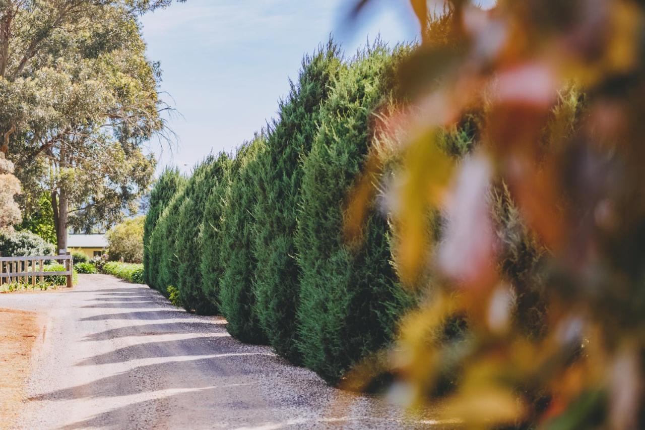 Dalblair Bed & Breakfast Seville エクステリア 写真